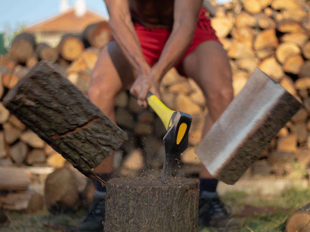 Emergency Storm Tree Removal in Piedmont, SD